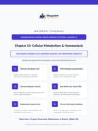 Cellular Metabolism & Homeostasis Project-Based Learning Activity sample page