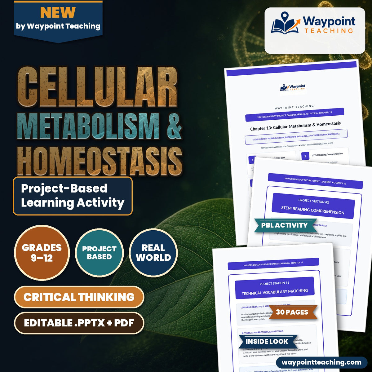 Cellular Metabolism & Homeostasis Project-Based Learning Activity cover