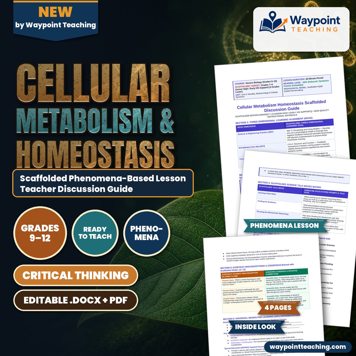 Cellular Metabolism & Homeostasis Scaffolded Phenomena-Based Lesson: The Frozen Stone: Wood Frogs Cheating Death with 300 mM Glucose Teacher Discussion Guide cover