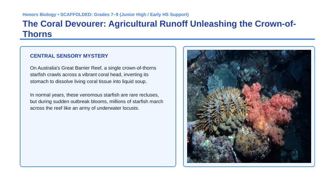 Communities, Biomes, & Ecosystems Scaffolded Phenomena-Based Lesson: The Coral Devourer: Agricultural Runoff Unleashing the Crown-of-Thorns Presentation sample page