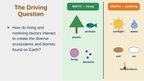 Communities, Biomes, & Ecosystems Substitute Slideshow & Teacher Guide sample page