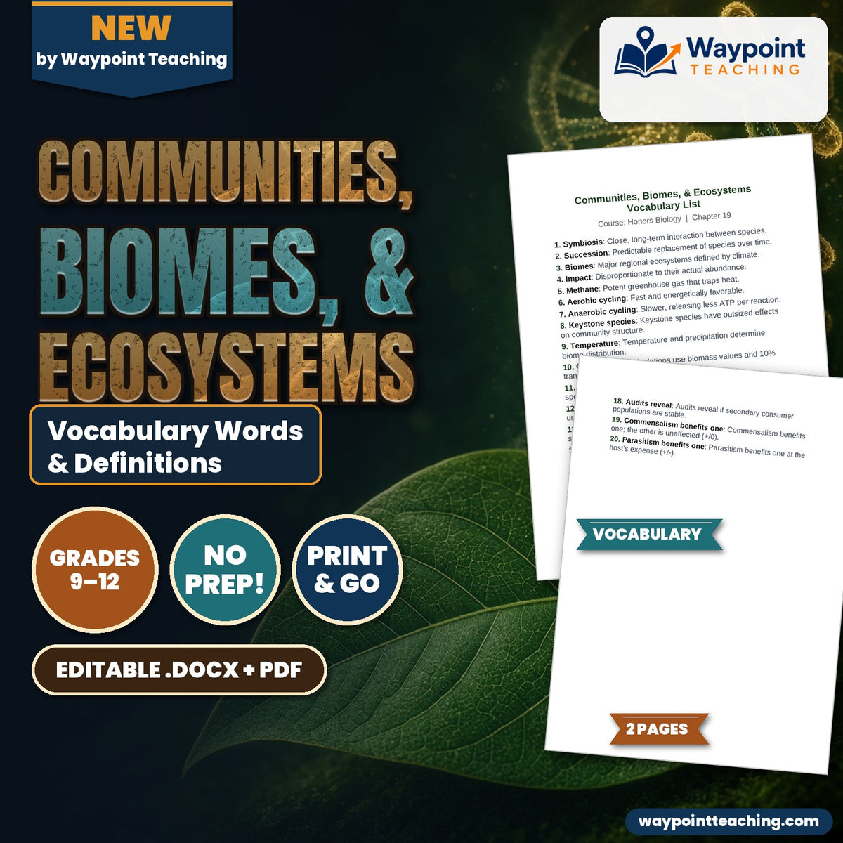 Communities, Biomes, & Ecosystems Vocabulary Words & Definitions cover