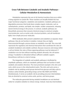 Cross-Talk Between Catabolic and Anabolic Pathways Reading Worksheet sample page