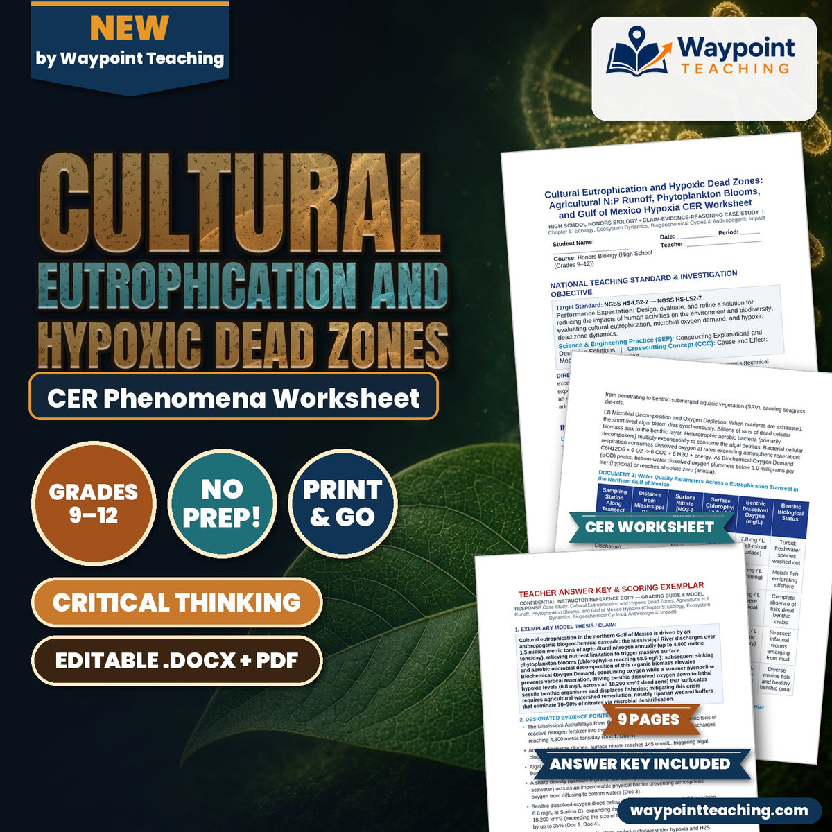 Cultural Eutrophication and Hypoxic Dead Zones: Agricultural N:P Runoff, Phytoplankton Blooms, and Gulf of Mexico Hypoxia CER Phenomena Worksheet cover