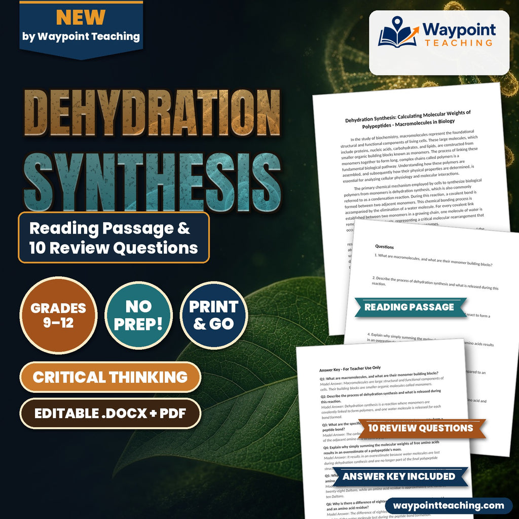 Dehydration Synthesis: Calculating Molecular Weights of Polypeptides Reading Worksheet cover