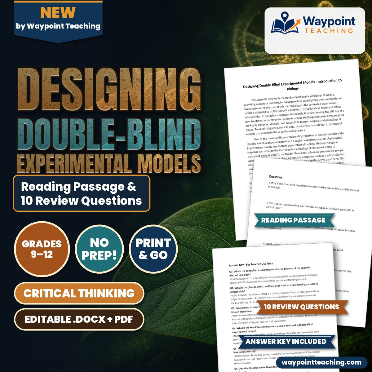 Designing Double-Blind Experimental Models Reading Worksheet cover