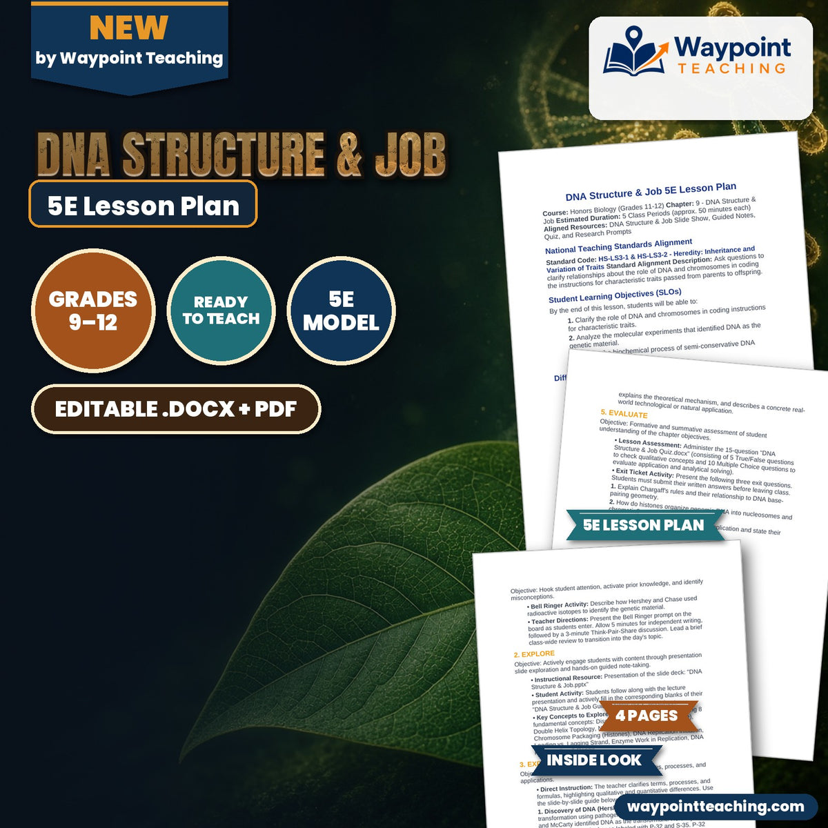 DNA Structure & Job 5E Lesson Plan cover