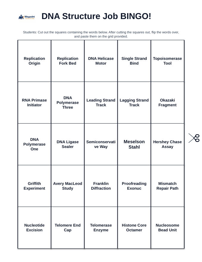 DNA Structure & Job BINGO Review Game sample page
