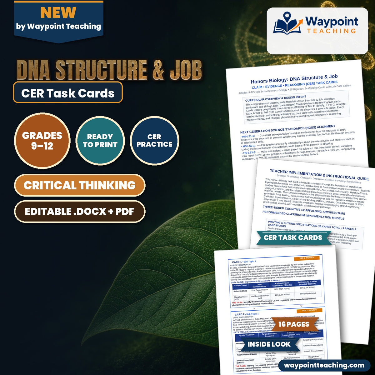 DNA Structure & Job CER Task Cards cover