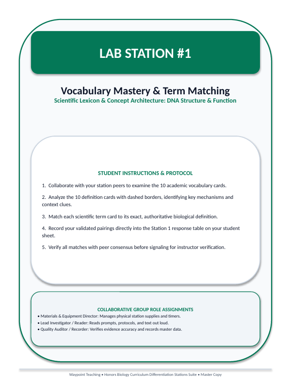 DNA Structure & Job Differentiation Stations sample page