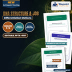 DNA Structure & Job Differentiation Stations cover