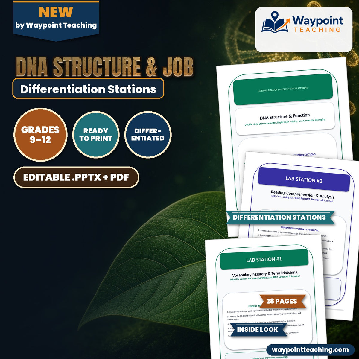 DNA Structure & Job Differentiation Stations cover