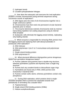 DNA Structure & Job Lesson Quiz sample page