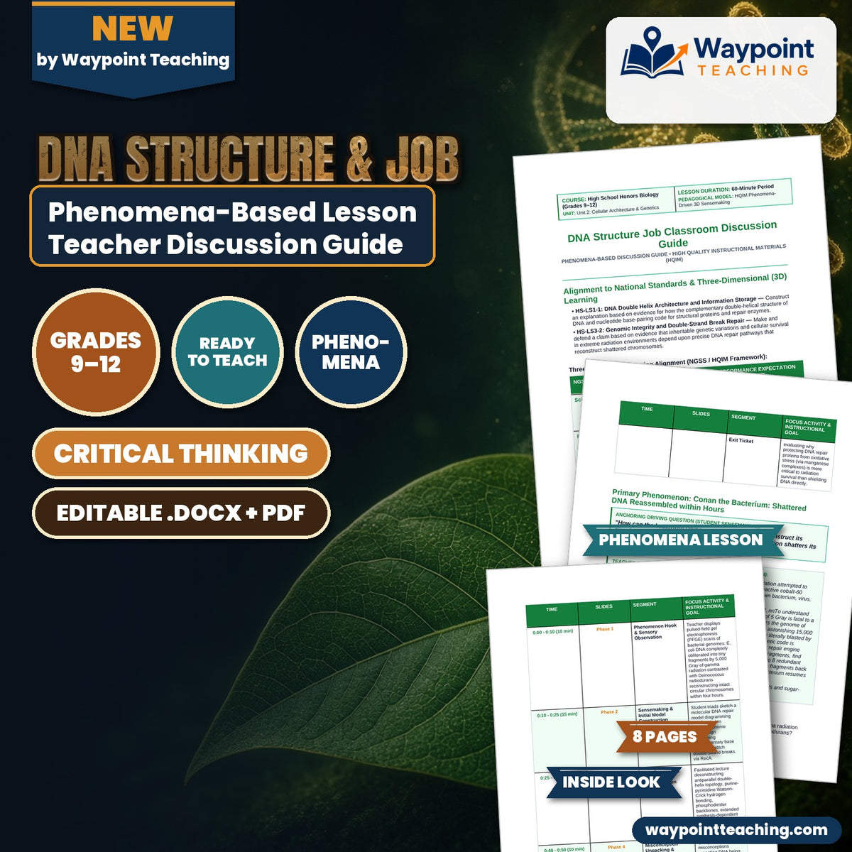 DNA Structure & Job Phenomena-Based Lesson: Conan the Bacterium: Shattered DNA Reassembled within Hours Teacher Discussion Guide cover