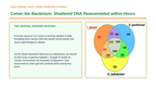 DNA Structure & Job Phenomena-Based Lesson: Conan the Bacterium: Shattered DNA Reassembled within Hours Presentation sample page