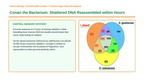 DNA Structure & Job Scaffolded Phenomena-Based Lesson: Conan the Bacterium: Shattered DNA Reassembled within Hours Presentation sample page