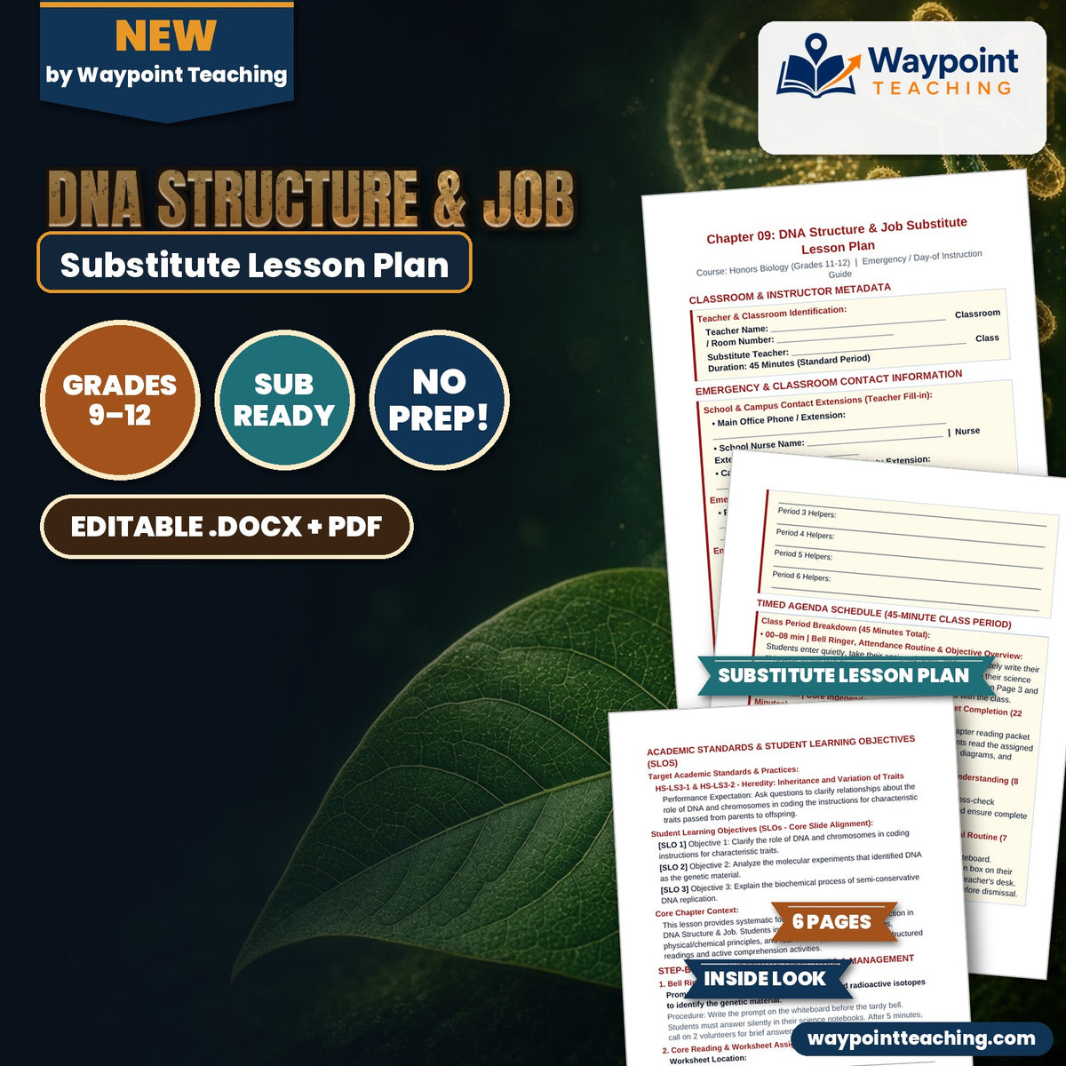 DNA Structure & Job Substitute Lesson Plan cover