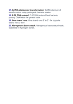 DNA Structure & Job Vocabulary Words & Definitions sample page