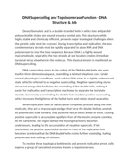 DNA Supercoiling and Topoisomerase Function Reading Worksheet sample page