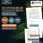 DNA Supercoiling and Topoisomerase Function Reading Worksheet cover