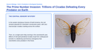 Ecological Demographics Phenomena-Based Lesson: The Prime Number Invasion: Trillions of Cicadas Defeating Every Predator on Earth Presentation sample page