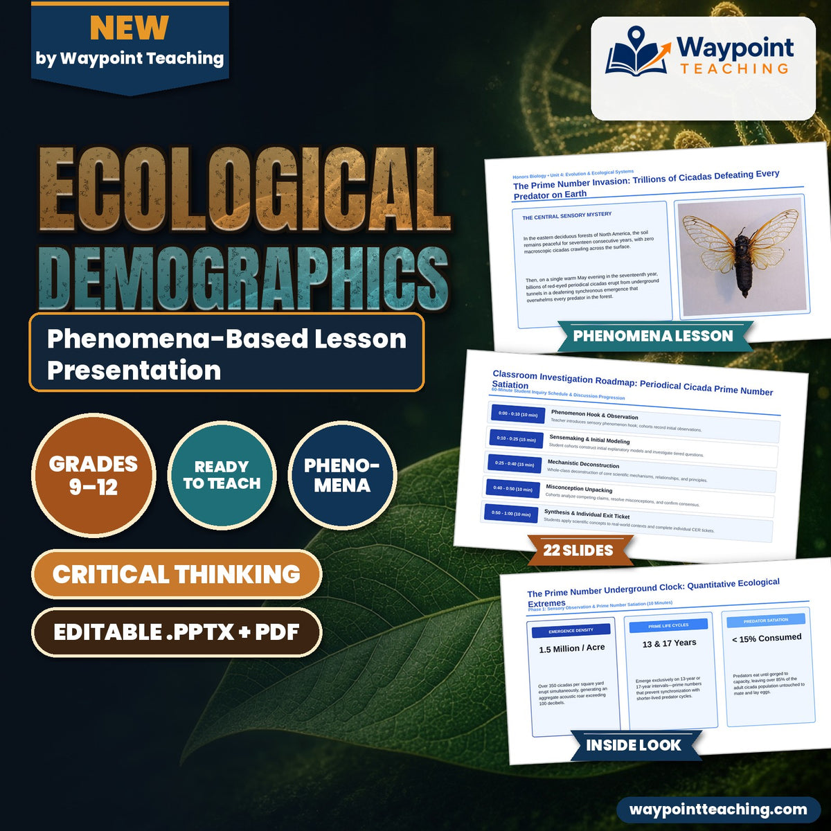 Ecological Demographics Phenomena-Based Lesson: The Prime Number Invasion: Trillions of Cicadas Defeating Every Predator on Earth Presentation cover