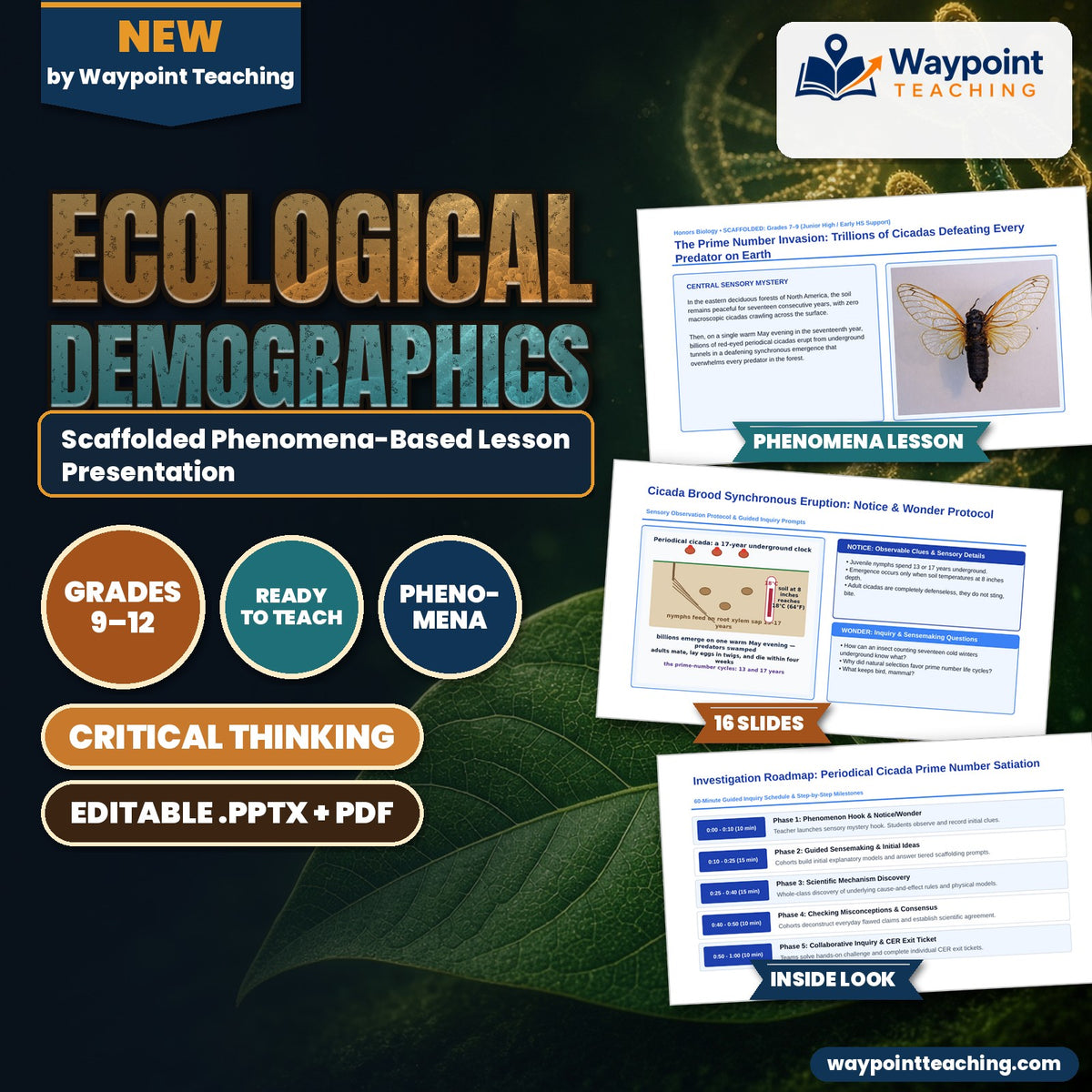 Ecological Demographics Scaffolded Phenomena-Based Lesson: The Prime Number Invasion: Trillions of Cicadas Defeating Every Predator on Earth Presentation cover