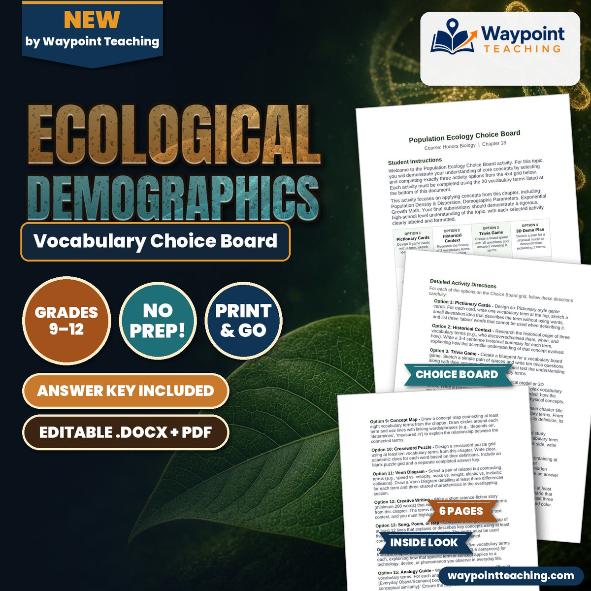 Ecological Demographics Vocabulary Choice Board cover