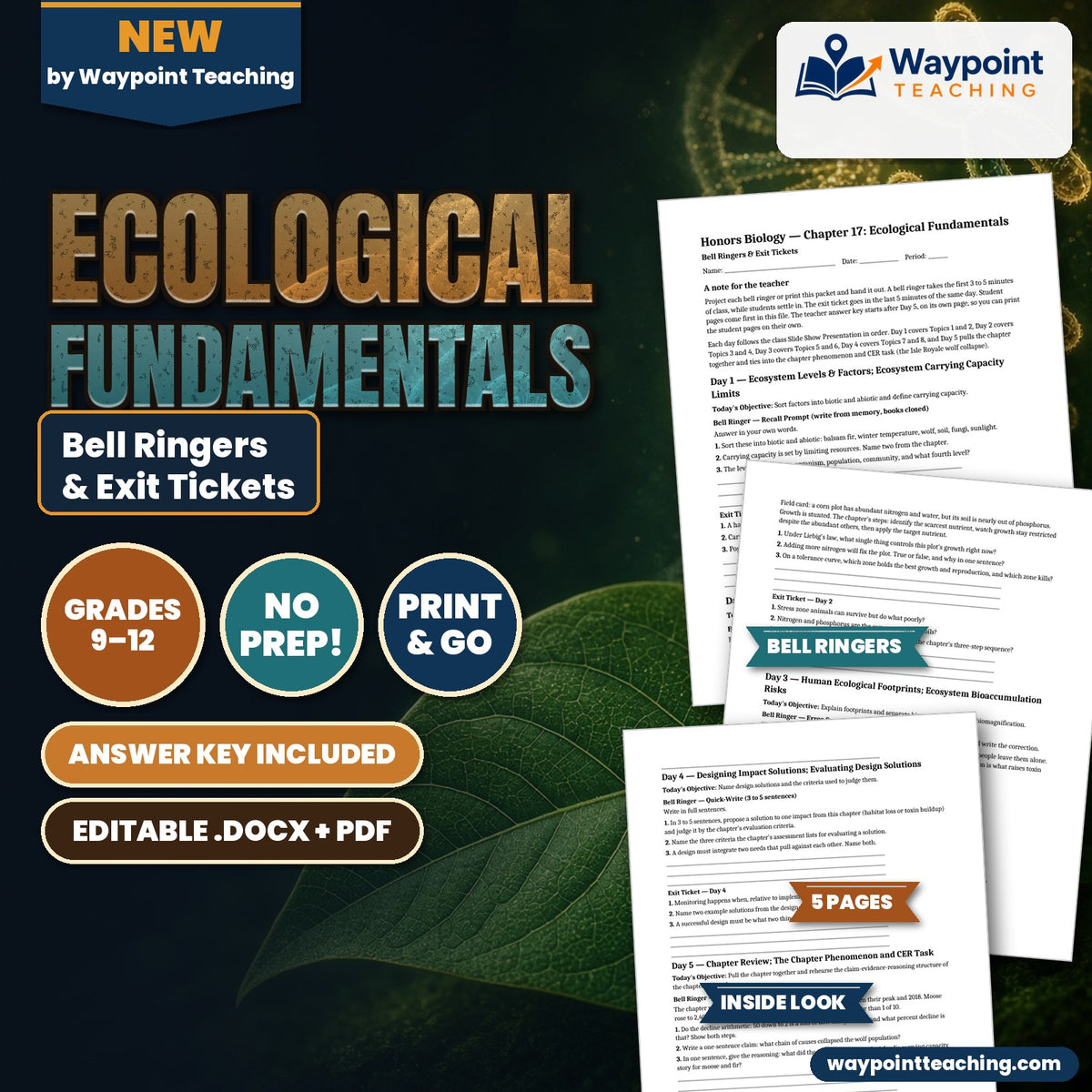Ecological Fundamentals Bell Ringers & Exit Tickets cover