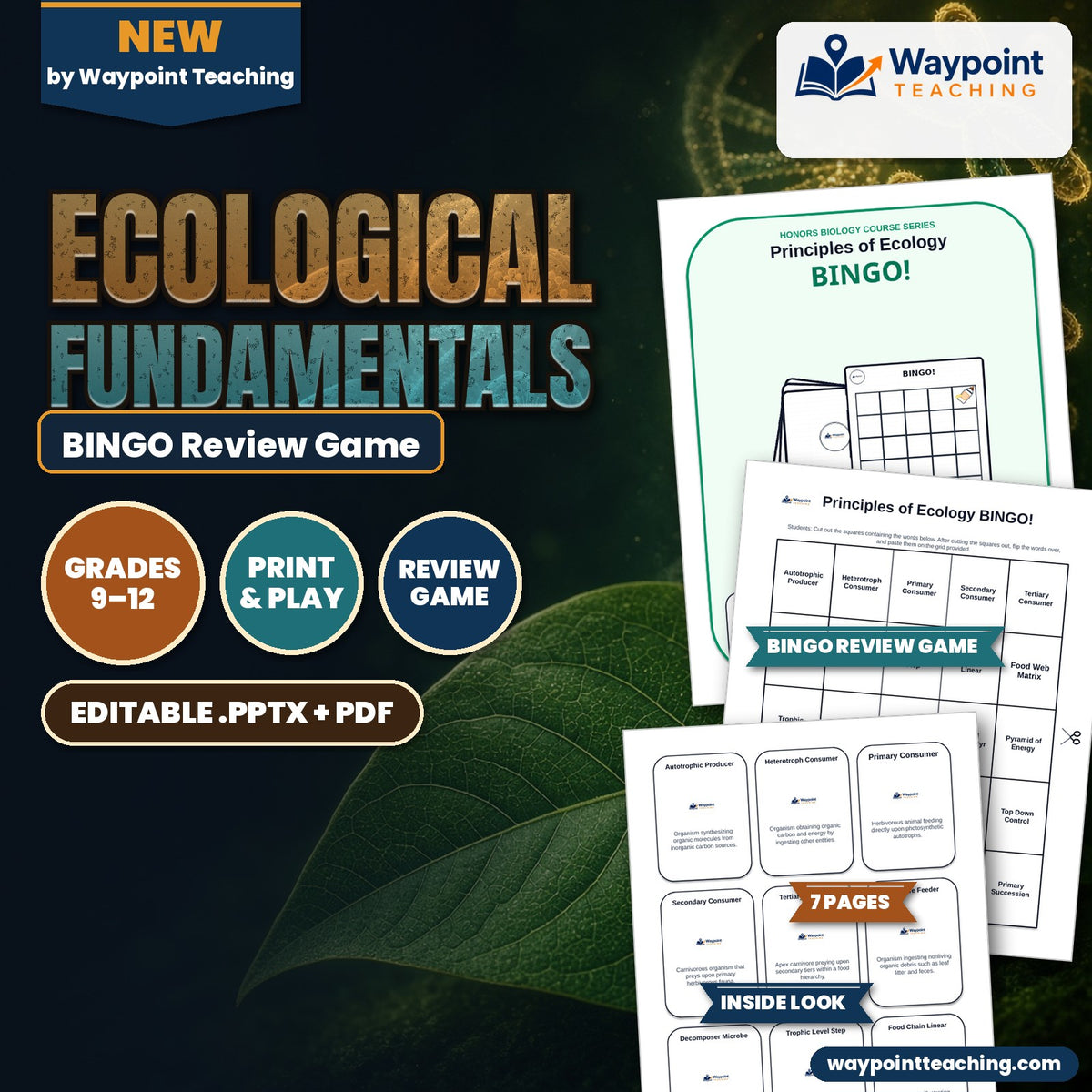 Ecological Fundamentals BINGO Review Game cover
