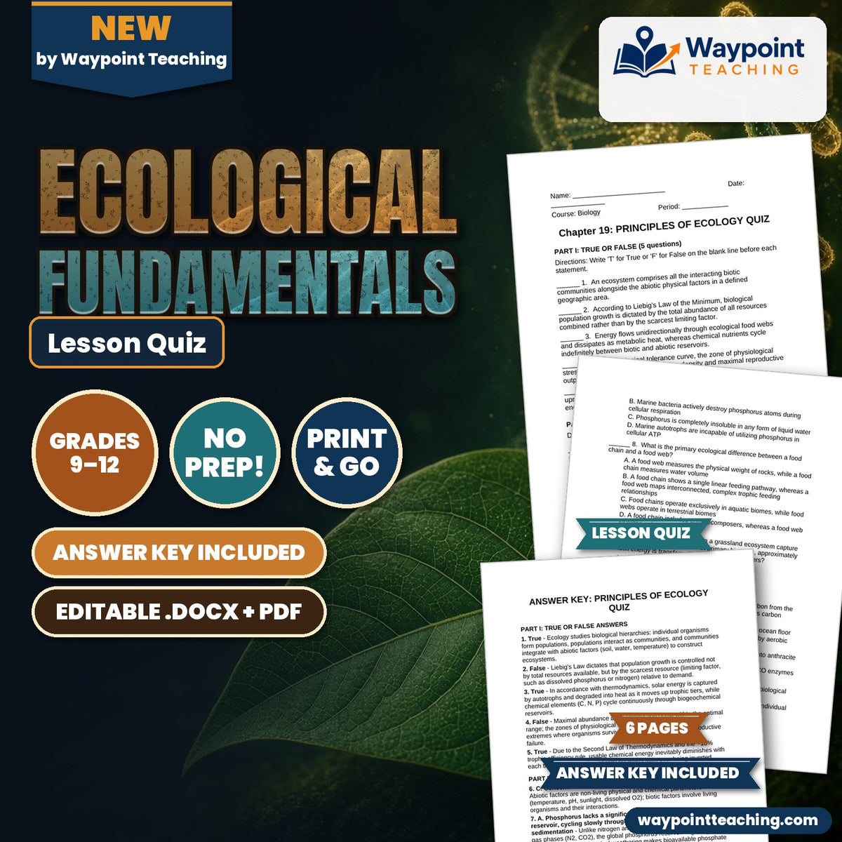 Ecological Fundamentals Lesson Quiz cover