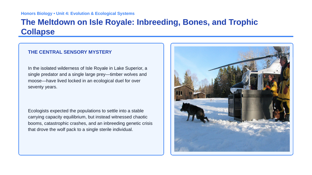 Ecological Fundamentals Phenomena-Based Lesson: The Meltdown on Isle Royale: Inbreeding, Bones, and Trophic Collapse Presentation sample page