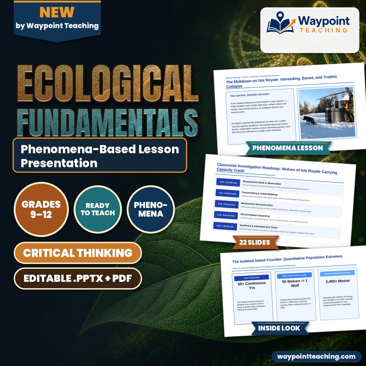 Ecological Fundamentals Phenomena-Based Lesson: The Meltdown on Isle Royale: Inbreeding, Bones, and Trophic Collapse Presentation cover