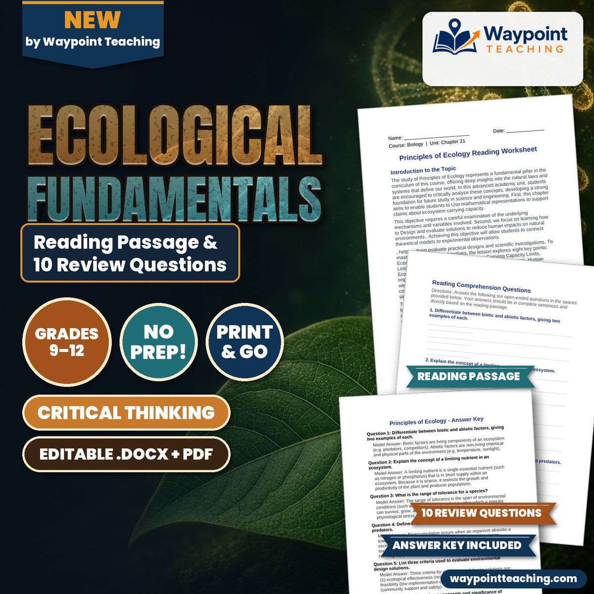 Ecological Fundamentals Reading Worksheet cover