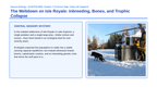 Ecological Fundamentals Scaffolded Phenomena-Based Lesson: The Meltdown on Isle Royale: Inbreeding, Bones, and Trophic Collapse Presentation sample page