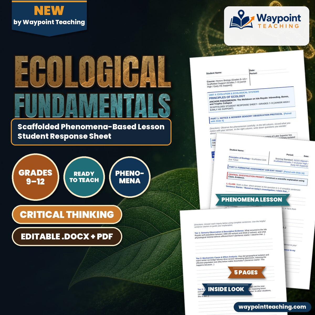 Ecological Fundamentals Scaffolded Phenomena-Based Lesson: The Meltdown on Isle Royale: Inbreeding, Bones, and Trophic Collapse Student Response Sheet cover