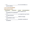 Ecological Fundamentals Spanish Guided Notes sample page