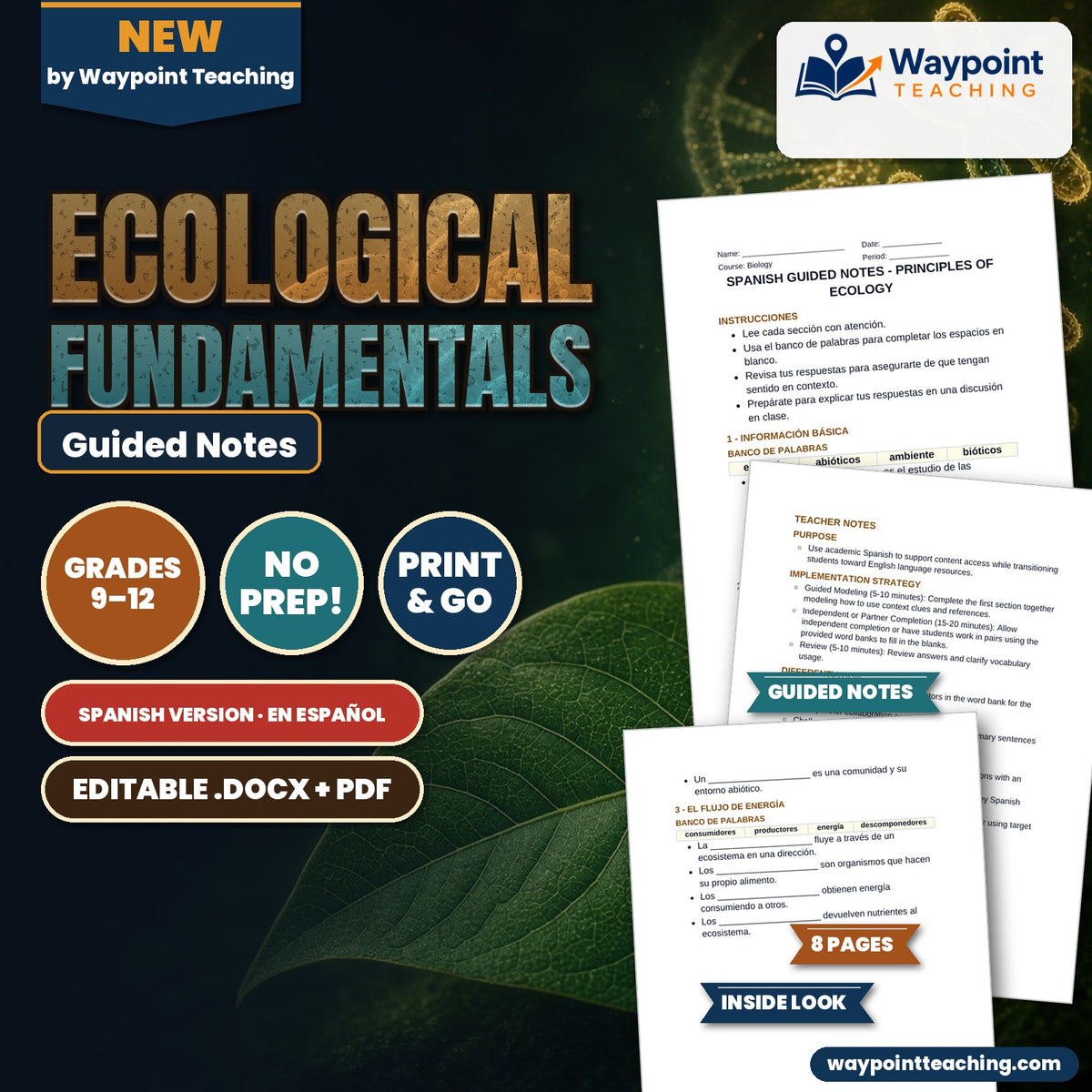 Ecological Fundamentals Spanish Guided Notes cover