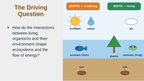 Ecological Fundamentals Substitute Slideshow & Teacher Guide sample page