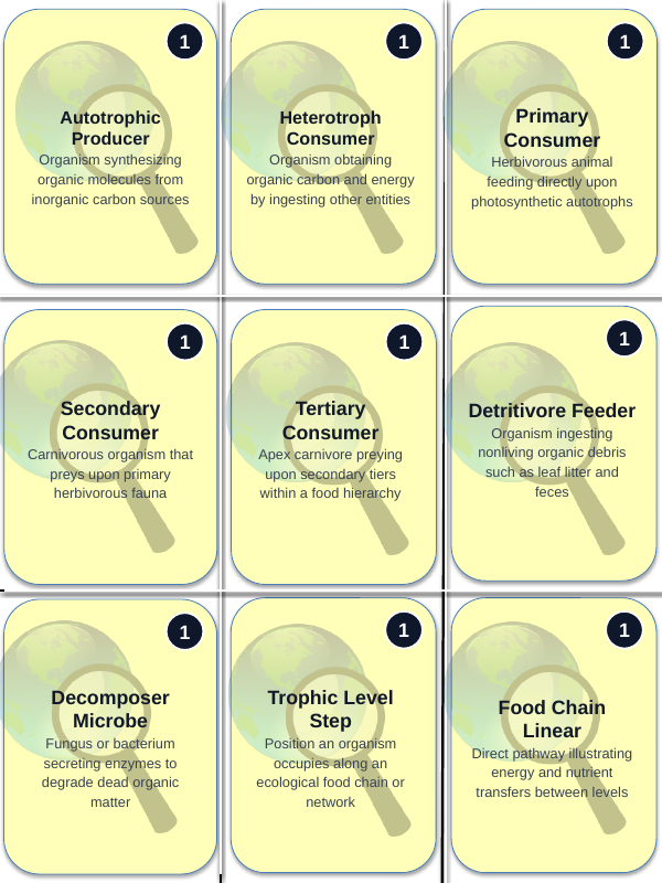 Ecological Fundamentals Trivia Board Game sample page