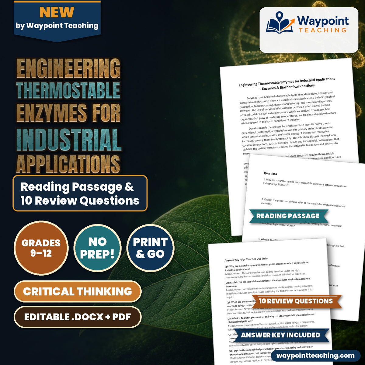 Engineering Thermostable Enzymes for Industrial Applications Reading Worksheet cover