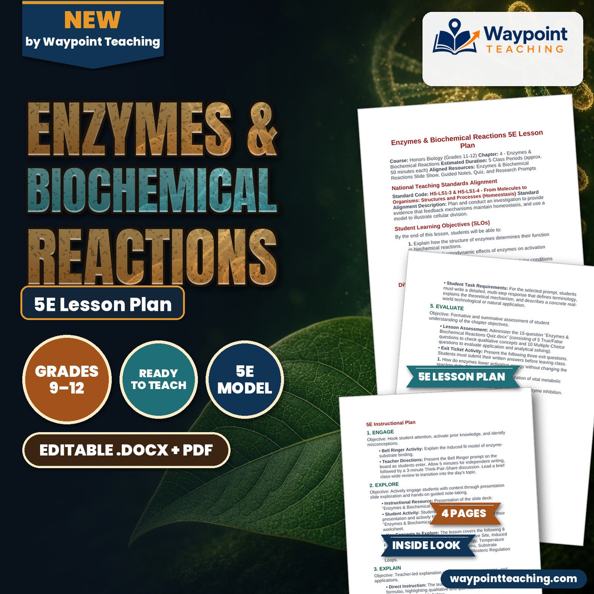 Enzymes & Biochemical Reactions 5E Lesson Plan cover