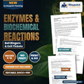 Enzymes & Biochemical Reactions Bell Ringers & Exit Tickets cover