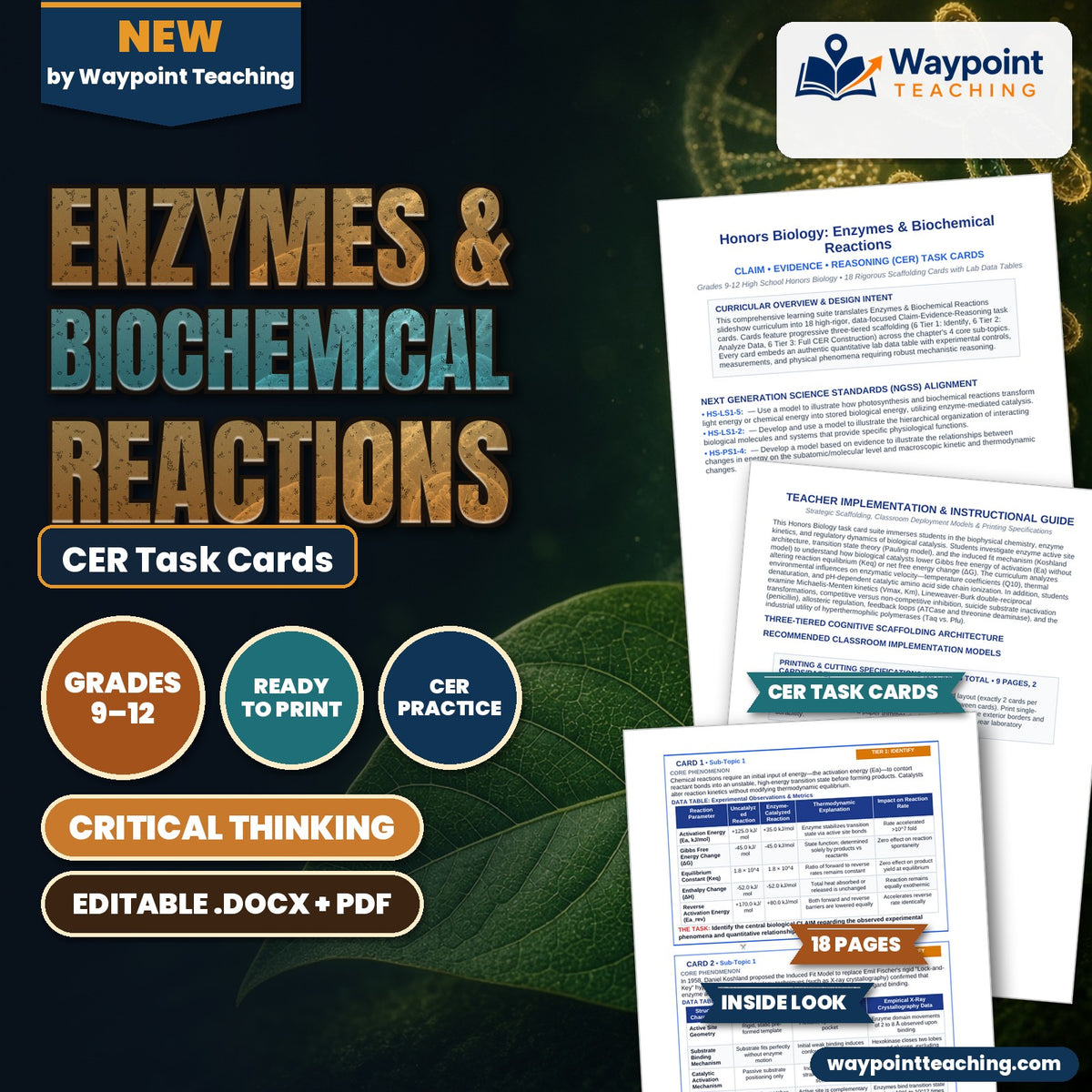 Enzymes & Biochemical Reactions CER Task Cards cover