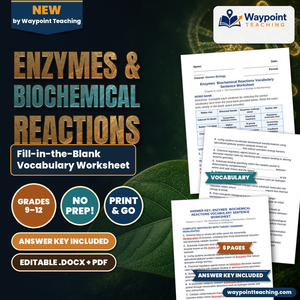 Enzymes & Biochemical Reactions Fill-in-the-Blank Vocabulary Worksheet cover