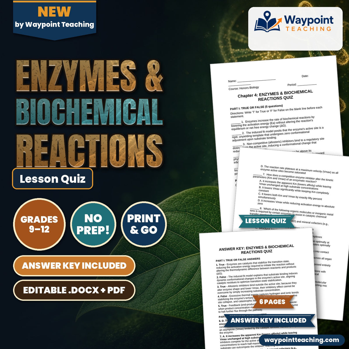 Enzymes & Biochemical Reactions Lesson Quiz cover