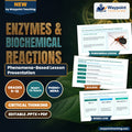 Enzymes & Biochemical Reactions Phenomena-Based Lesson: The Living Cannon: Bombardier Beetle Explosive Catalytic Jet Presentation cover