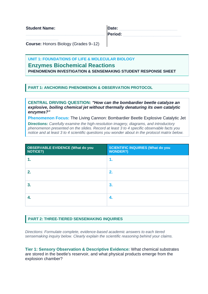 Enzymes & Biochemical Reactions Phenomena-Based Lesson: The Living Cannon: Bombardier Beetle Explosive Catalytic Jet Student Response Sheet sample page