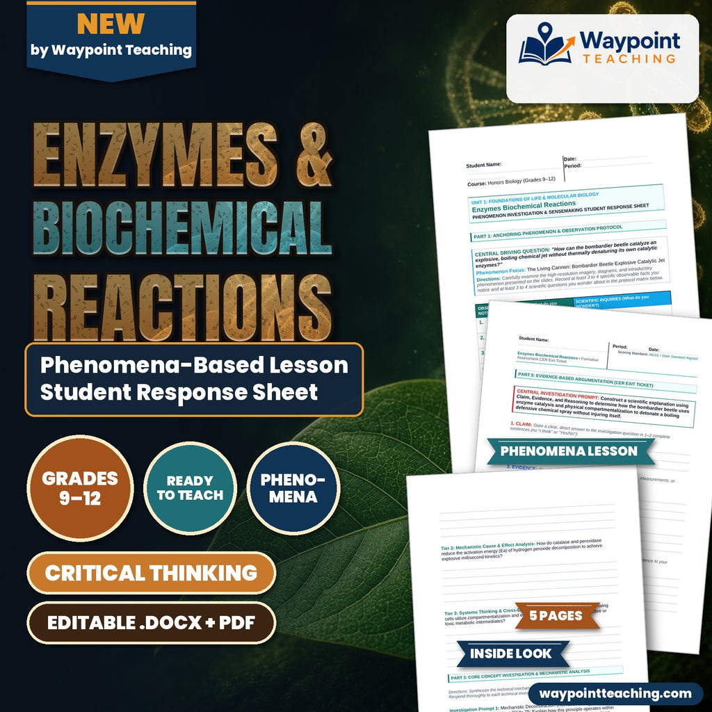 Enzymes & Biochemical Reactions Phenomena-Based Lesson: The Living Cannon: Bombardier Beetle Explosive Catalytic Jet Student Response Sheet cover