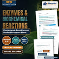 Enzymes & Biochemical Reactions Phenomena-Based Lesson: The Living Cannon: Bombardier Beetle Explosive Catalytic Jet Student Response Sheet cover